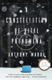 A Constellation of Vital Phenomena